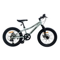 Bicicleta Monark Niño Mirage Al Aro 20 Gris Claro Negro