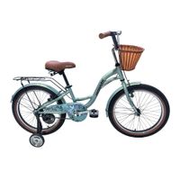 Bicicleta Monark Niña Romantic Girl Aro 20 Verde