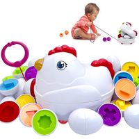 Gallina con huevos de asociación - Juego Montessori