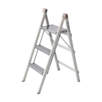 Escalera Aluminio 3 Pasos Slim Werken