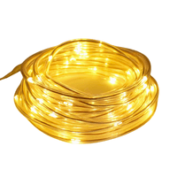 Manguera Tira Luces Led Impermeable
