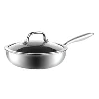 Sartén de Acero Inoxidable Tricapa con tapa de Cristal 24 cm - 10145013
