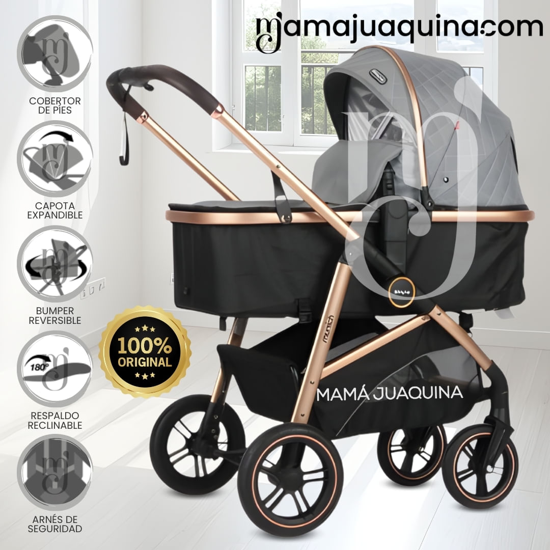 Coche Moisés Travel System «MUNICH GOLD» de Lujo Gris