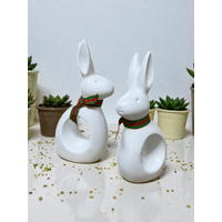 Set de Conejos Navidad