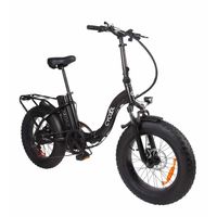 E-Bike Cycool Ewild20W/1005 Con Timon Plegable, Inc. Bateria, Cargador Y Llaves Negro - 1083970