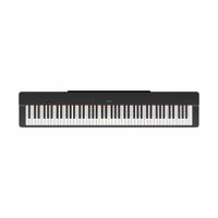 Piano Digital Yamaha P-225B + PA-150