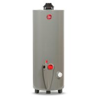 Termotanque Rheem GLP Gris 76L