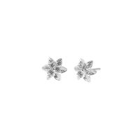 Aretes Rubí Ovalados en Plata 925