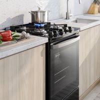Cocina de pie Electrolux 4 quemadores FE4GP Negro