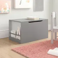 Baúl Organizador Alexis color Gris TU MESITA