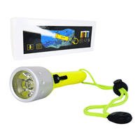 LINTERNA TÁCTICA LUZ LED ACUÁTICA BUCEO BRILLANTE IMPORTADA