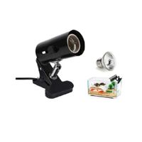 Kit de soporte de lámpara fijo negro más foco UVA+UVB 75w