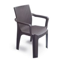 Silla Terra Ratan C/Brazos 3052025
