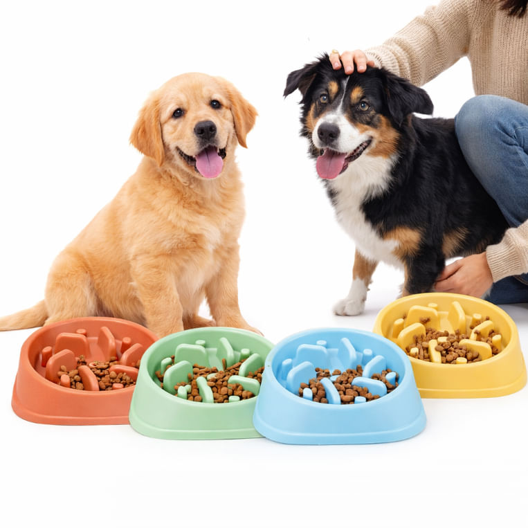 Plato Antiahogo Para Perros y Gatos Slow Feeder Colores Surtidos