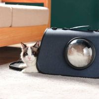 Bolso Transportador 43×20.5×3.5cm CSLDA2620 - EYH