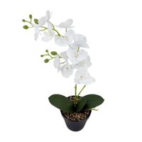 Planta Artificial Orquídea Blanca Orange