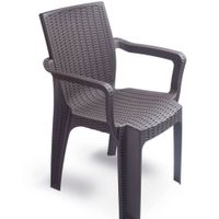 Silla Terra Ratan C/Brazos 3052025 - EYH