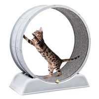 Rueda Giratoria de Ejercicio Para Gatos