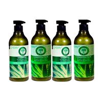 2und Pack Dúo Shampoo y Acondicionador Aloe Vera -Wokali
