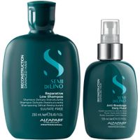 Shampoo Reparador Sin Sal 250ml + Spray Alfaparf Reconstruction