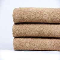 Toalla mediana 120 x 60 cm Tierra de 450 Gr