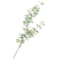 Planta DECO HOME 1 Marruecos
