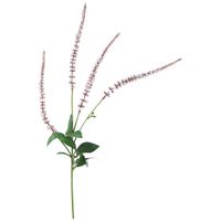 Rama Larga Blanca DECO HOME Ave 60cm