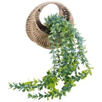Planta Colgante DECO HOME Ave