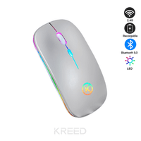Mouse RGB recargable inalámbrico Bluetooth + 2.4G - Plata