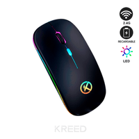 Mouse RGB inalámbrico recargable 2.4G - Negro