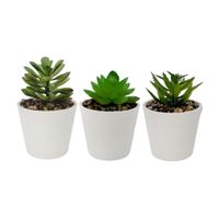 Plantas Artificiales Set x 3 Blanco Value Deco