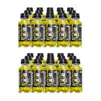 X-B 2 Paquetes De 15 Botellas 135ml L-Carnitina PIÑA