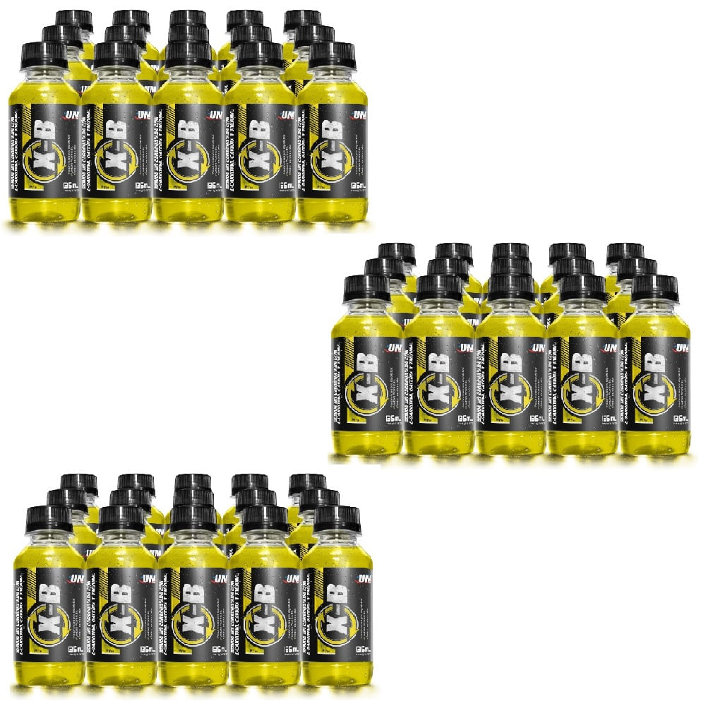 XB 3 Paquetes De 15 Botellas 135ml L-Carnitina Piña