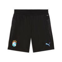 Polo Deportivo Puma Hombre 784908 01 Sc Training