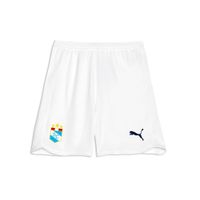 Polo Deportivo Puma Hombre 713772 01 Sc Home Replica
