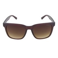 Lentes De Sol Levis X13156 Mujer Marrón
