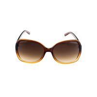 Lentes De Sol Levis X13064 Mujer Café
