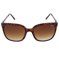 Lentes De Sol Levis X13007 Mujer Marrón