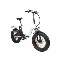 E-Bike Cycool Ewild20W/1005 Con Timon Plegable, Inc. Bateria, Cargador Y Llaves Blanco - 1083969