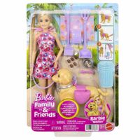 Muñeca BARBIE Family & Friends Paseo de Perrito
