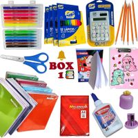 BOX 5 - Cuadernos lapices plumones tijeras pinturas y otros
