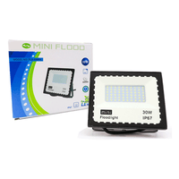 REFLECTOR 30W PARA EXTERIORES IP67 - 60 LEDS