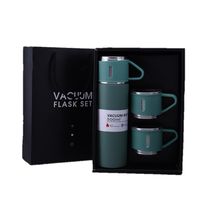 Set de 4 Pz Termo de Acero Inoxidable 500 ml Taza para regalo - Verde