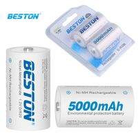 2 Baterias de NIMH recargable Tipo D pilas 1.2V 5000mAh BESTON Ni-MH