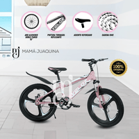Bicicleta Para Niño Aro 16 «PALMEIRA ASPA II» Rosa
