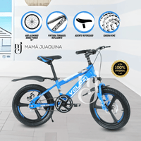 Bicicleta Para Niño Aro 16 «PALMEIRA ASPA II» Azul