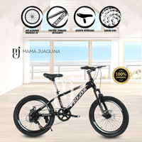 Bicicleta Para Niño Aro 20 «PALMEIRA MIDDLE» Negro