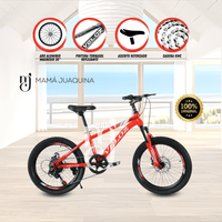 Bicicleta Para Niño Aro 20 «PALMEIRA MIDDLE» Rojo