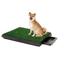 Baño para Perros Grandes