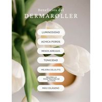 Derma Roller 4 en 1 Rodillo Facial Antiedad Cuello Rostro Hipoalergénico